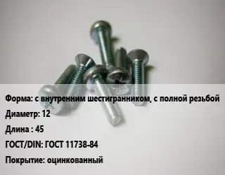 Винт с внутренним шестигранником, с полной резьбой 12х45 ГОСТ 11738-84 оцинкованный